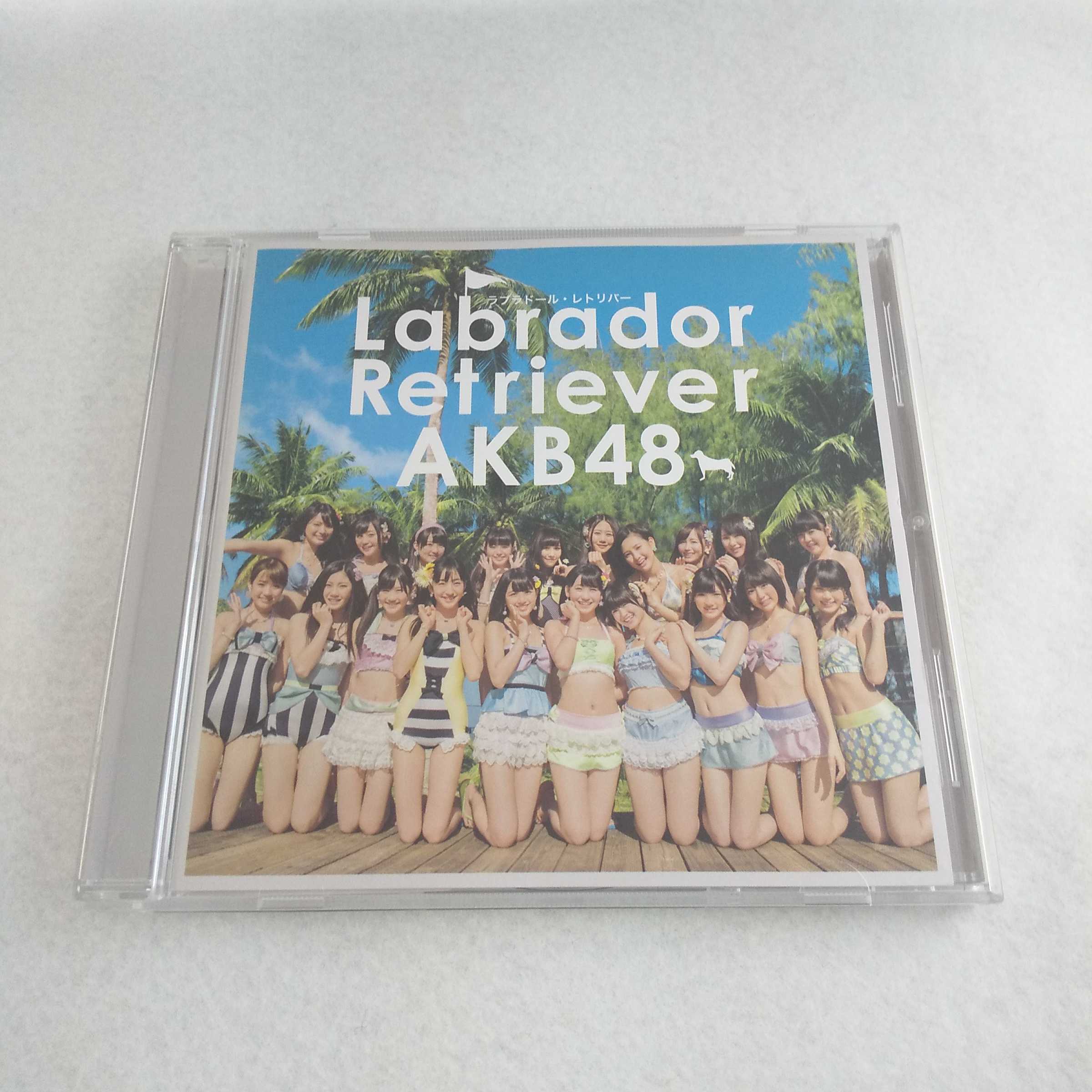 AC07068   Labrador Retriever/AKB48