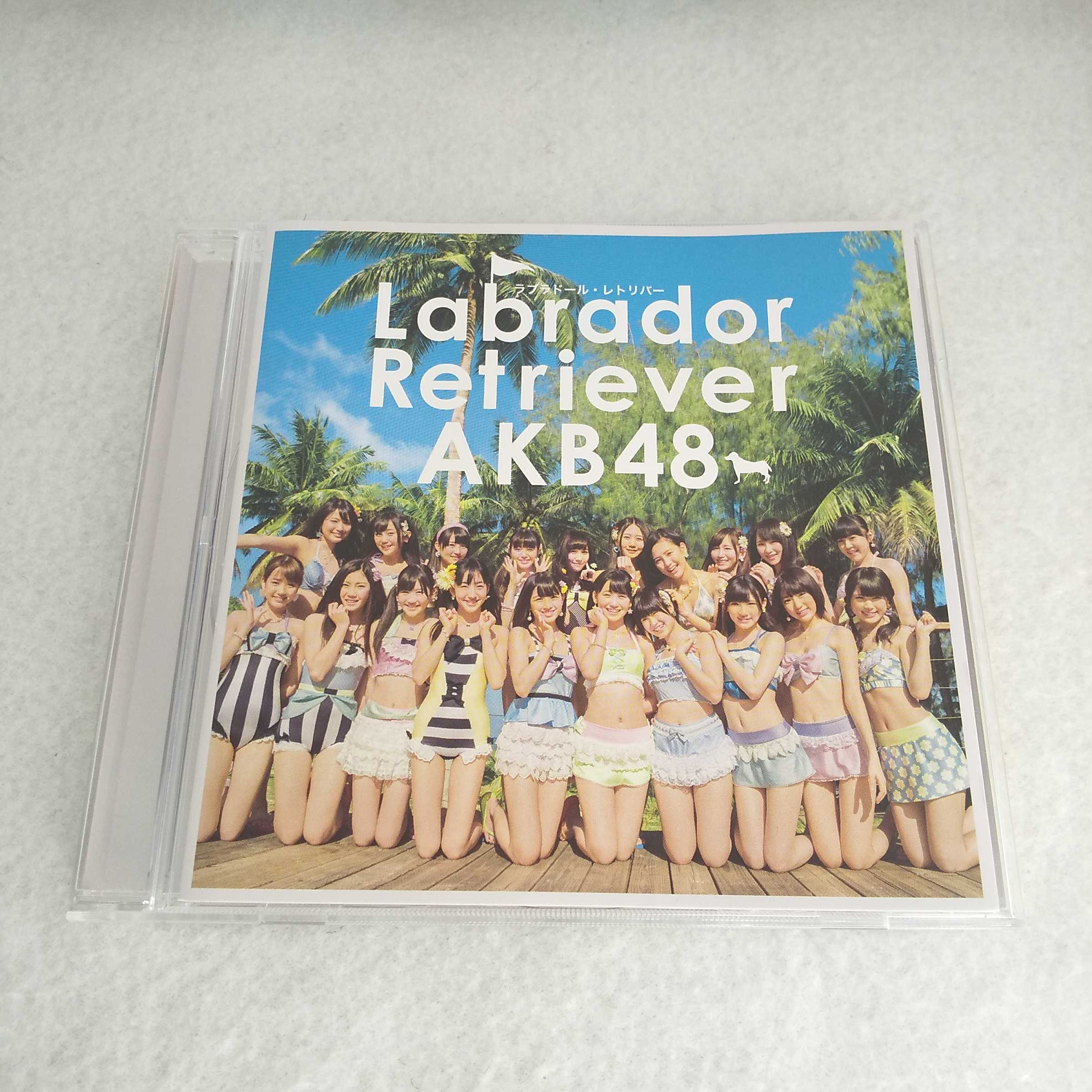AC07377   Labrador Retriever/AKB48