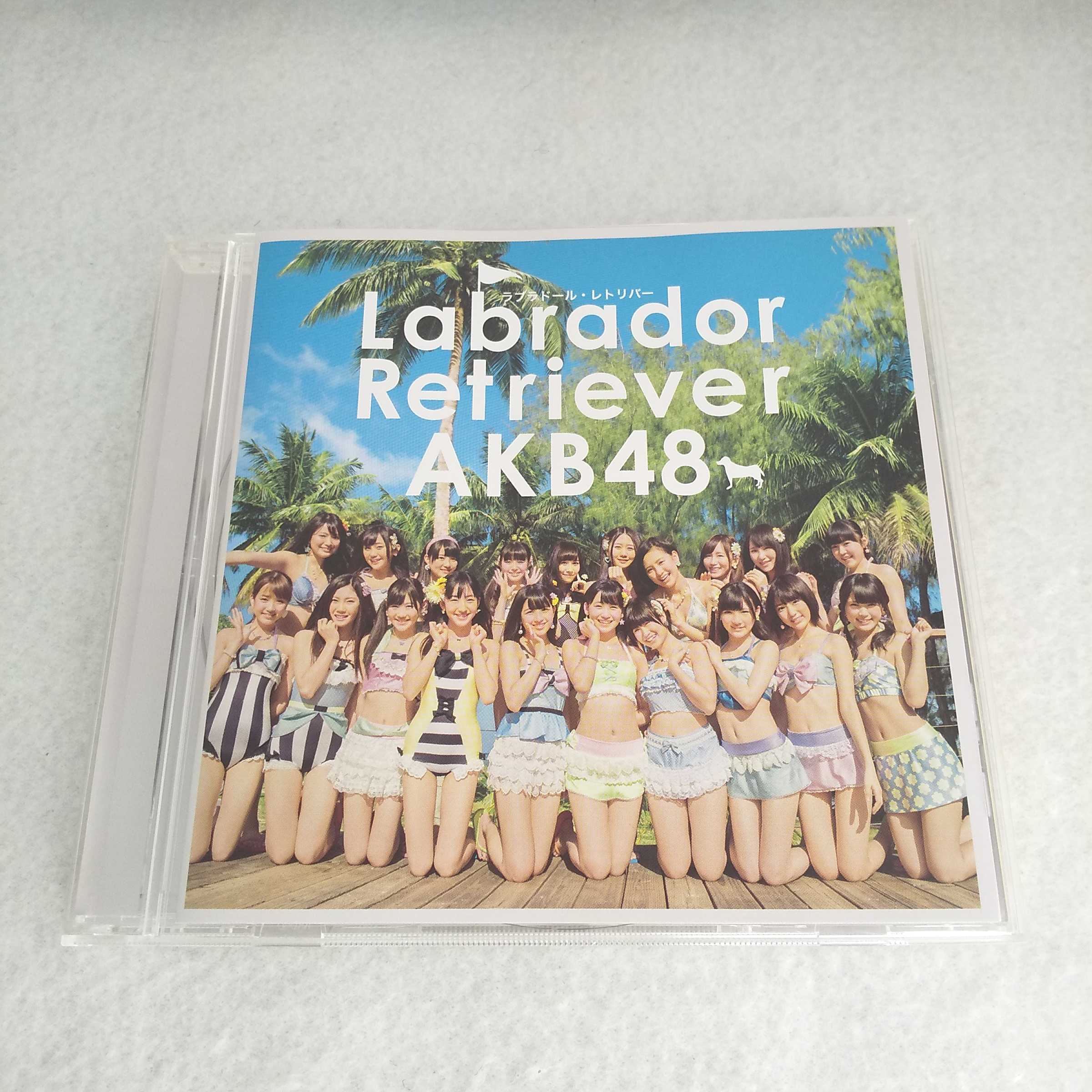 AC07378   Labrador Retriever/AKB48