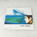 AC09337 【中古】 【CD】 Your Imagination/Brian Wilson