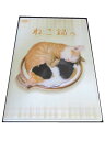 AD00000 【中古】 【DVD】 ねこ鍋