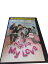 AD01150 š DVD ɥɥMy Love 6