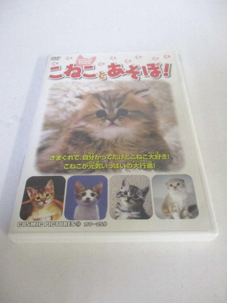 AD06306 【中古】 【DVD】 こねことあそぼ!