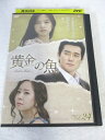 AD08274【中古】 【DVD】 黄金の魚 VOL.24