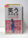 HV03495【中古】【VHSビデオ】笑う犬の生活YARANEVA2小須田部長全遍歴