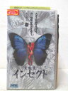 HV04089【中古】【VHSビデオ】変態愛 インセクト 字幕版