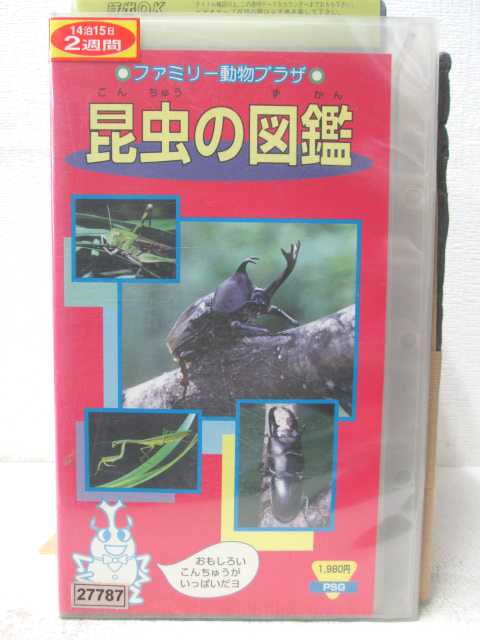 HV04811【中古】【VHSビデオ】ファミリー動物プラザ昆虫の図鑑