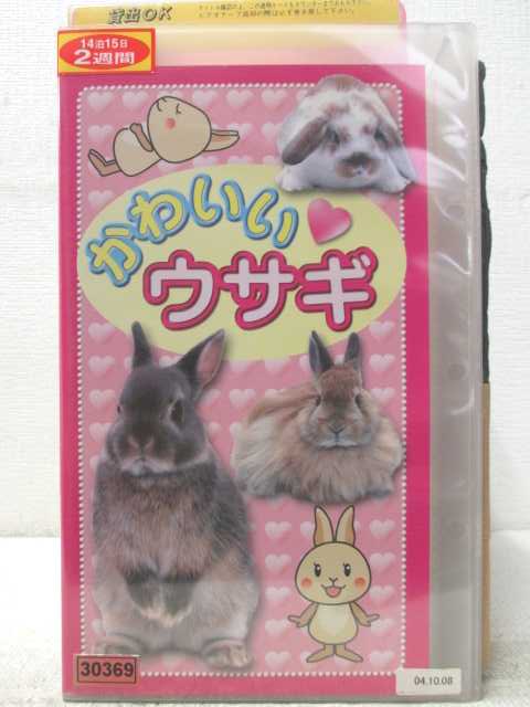 HV06598【中古】【VHSビデオ】かわいいウサギ