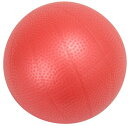 DANNO(ダンノ) ギムニク(GYMNIC) バランスボール ソフトギムニク レッド 直径23cm D5415