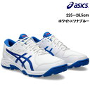 AVbNX Q s[N2 zCg~ciu[(ASICS GEL PEAKE2 WHITE~TUNA BLUE) 1113A036 tB[hzbP[ V[Y