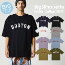 Tシャツ ビッグシルエット ビックシルエット メンズ プリントtシャツ アメカジ ストリート サーフ 西海岸 フォトt フォトプリント メンズtシャツ プリント セール 送料無料 半袖 ティーシャツ XXL XXXL(4)