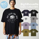 Tシャツ ビッグシルエット ビックシルエット メンズ プリントtシャツ アメカジ ストリート サーフ 西海岸 フォトt フォトプリント メンズtシャツ プリント セール 送料無料 半袖 ティーシャツ XXL XXXL