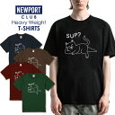 Tシャツ メンズ プリントtシャツ アメカジ ストリート サーフ 西海岸 カリフォルニア ビーチ サマー フォトT メンズtシャツ プリント セール 送料無料 半袖 ティーシャツ XXL XXXL