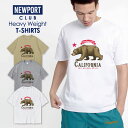 Tシャツ メンズ プリントtシャツ アメカジ ストリート サーフ 西海岸 カリフォルニア 熊 イラスト サマー メンズtシャツ プリント セール 送料無料 半袖 ティーシャツ XXL XXXL(4)