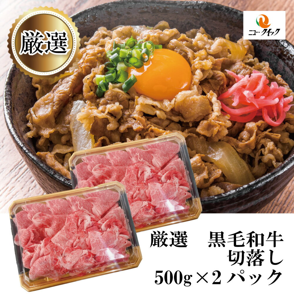 厳選 黒毛和牛肩ロース切落し 500g×2パック
