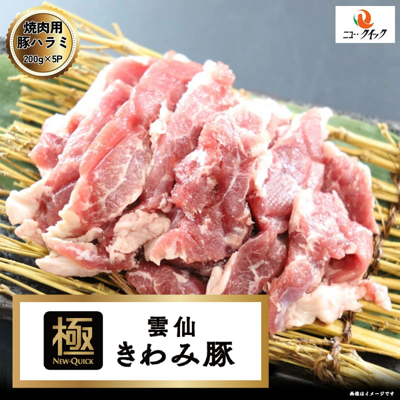 雲仙きわみ豚　 国産豚ハラミスライス 1kg (200g×5P) 長崎県産 豚肉内臓 豚肉 国産豚