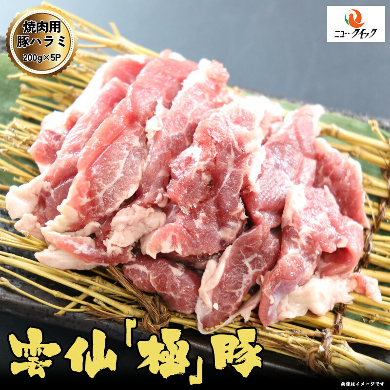 雲仙プライムポーク「極」 国産豚ハラミスライス 1kg (200g×5P) 長崎県産 豚肉内臓 豚肉 国産豚のサムネイル