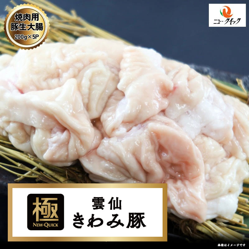 雲仙きわみ豚　 国産豚生大腸 1kg (200g×5P) 長崎県産 豚肉内臓 豚肉 国産豚のサムネイル