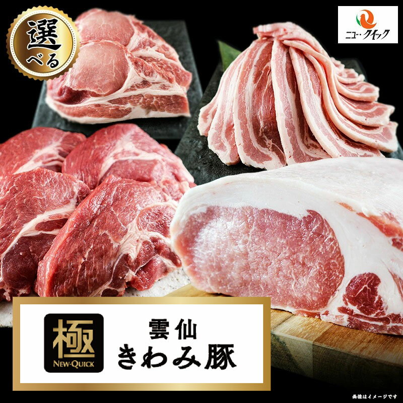 【ふるさと納税】≪放牧和豚≫ こま切れ 500g - Pioneer Pork(パイオニアポーク) 旨味が凝縮 豚汁や豚丼に使いやすい小間切れ 国産豚肉 こだわり 送料無料 【宮崎県木城町】