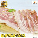 オランダ坂 ベーコンスライス 500g (1