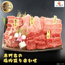 焼き肉 黒毛和牛焼肉4点盛り 焼き肉 焼肉セット 黒毛和牛 & 国産豚 合計740g (3〜5人前) 黒毛和牛もも 240g 黒毛和牛バラ 140g 豚ロース 180g 豚肩ロース 180g 国産牛 和牛 バーベキュー BBQ 焼肉 国産 焼き肉 牛肉 お肉 やきにく お中元 御中元