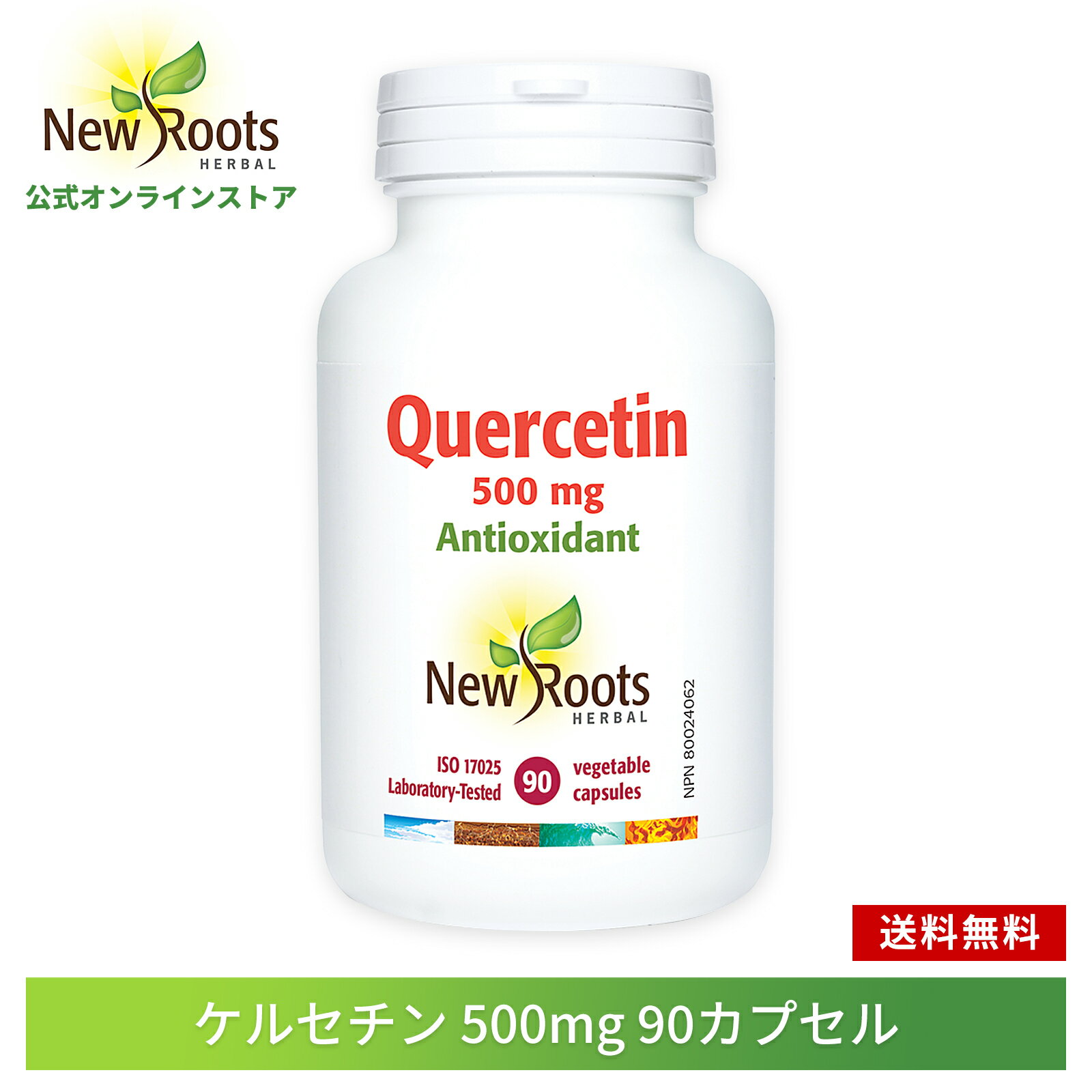 【ワンダフルデー楽天P10倍！】ケルセチン 500mg 90カプセル New Roots Herbal【ニュールーツハーバル 公式】送料無料 サプリ サプリメント ポリフェノール フラボノイド フラボノール ファイトケミカル 色素 若々しさ 生活習慣 天然由来