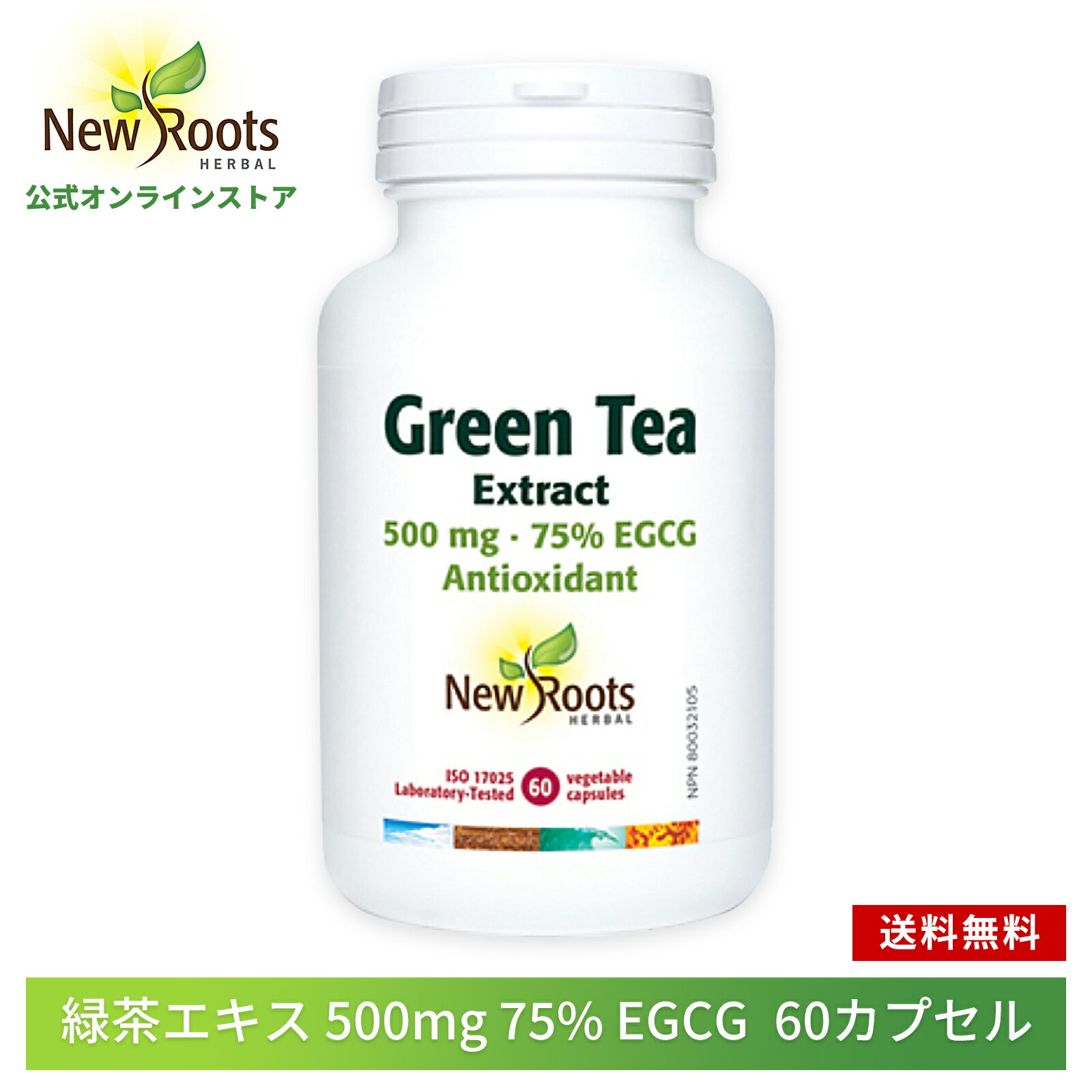 緑茶エキス500mg 75％ EGCG 60カプセル New Roots Herbal 【ニュールーツハーバル 公式】送料無料 サプリ サプリメント エピガロカテキンガレート ポリフェノール カテキン ダイエットをサポート 季節の変化に負けない 健康数値が気になる