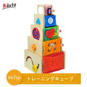 I'm TOY トレーニングキューブ 【メーカー取り寄せ】 Edute エデュテ トレーニングキューブ I'm TOY アイムトイ 1歳 2歳 指先トレーニング 木のおもちゃ 知育玩具 お祝い 誕生日プレゼント ギフト IM-12064