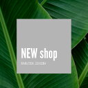 Shop icon