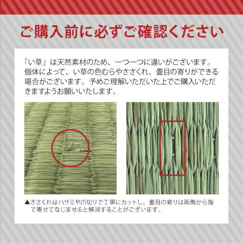 畳ベッド2杯引き出しシングル棚コンセント付