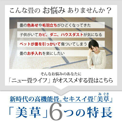 【全国対応】畳替え(表替え/へり付き/6畳)【...の紹介画像3