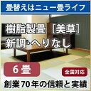【全国対応】畳替え(新調/へりなし/半畳12枚/6畳分)【美草】【基本施工費込】