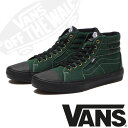 VANS oY BMX SK8-HI 238 DAKOTA ROCHE GREENXP[gnC 26 26.5 27 XPV[ V[Y C