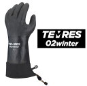 TEMRES テムレス TEMRES 02winter 19-20モデル 手袋 グローブ 防寒 作業 登山 雪山 スキー スノーボード ブラック