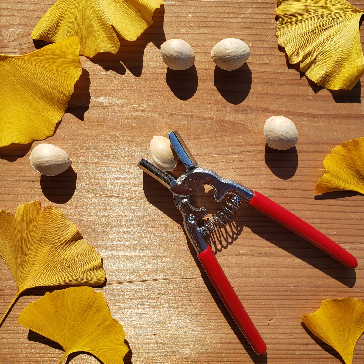 ギンナン割り器　日本製