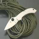 スパイダルコ 【SPYDERCO】 ドラゴンフライ ステンレス C28P 選べる無料ラッピング