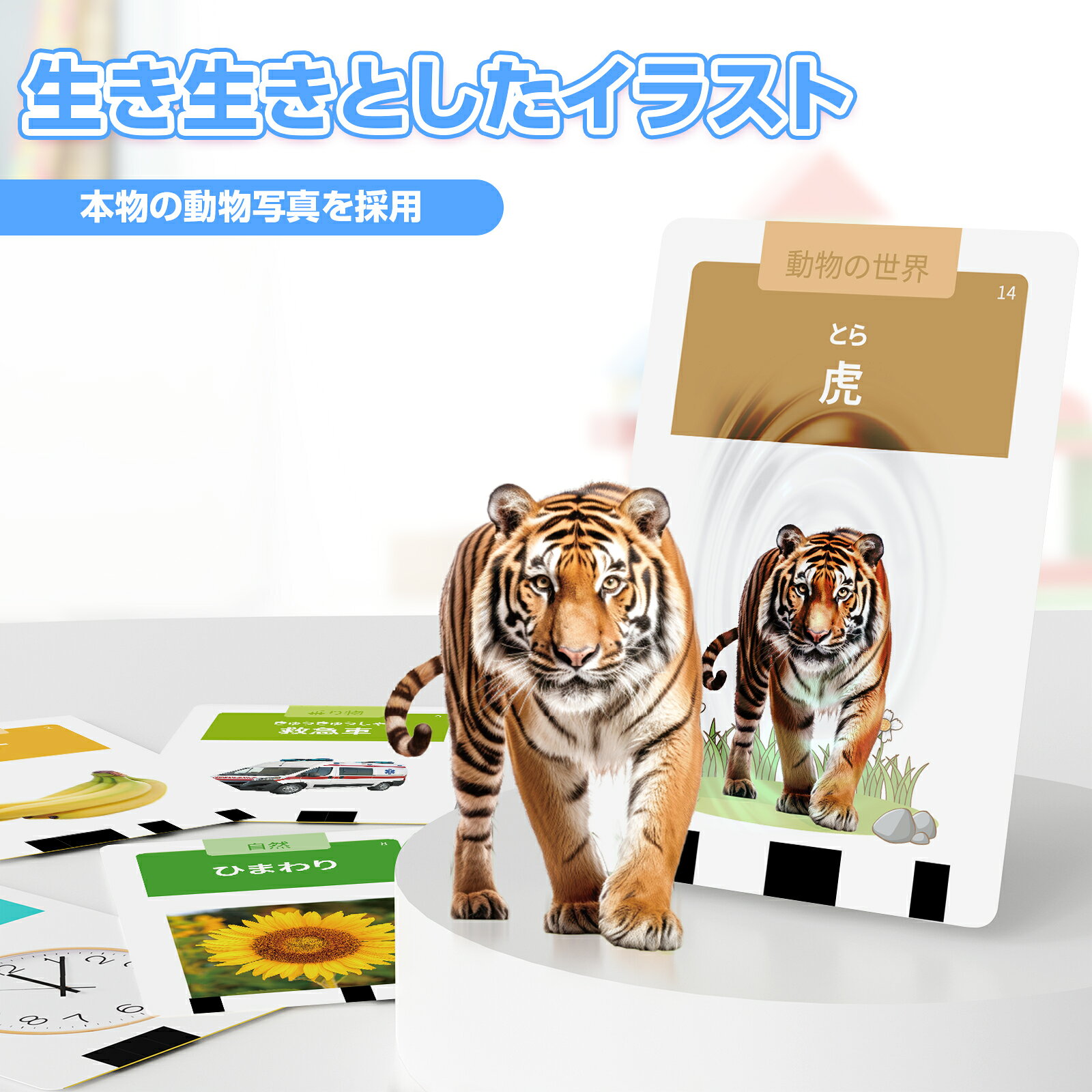 フラッシュカード 日本語 ひらがな付き ネイティブ発音 288語 リアル写真 アルファベット 教育啓発 知育玩具 おもちゃ 学習玩具 おしゃべりことばカード 赤ちゃん 言語発達 幼児教育 女の子 男の子 誕生日 クリスマス プレゼント ギフト2歳 3歳 4歳 5歳 青 3