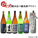 日本酒 飲み比べ 送料無料 純米酒プラス1 がっつり日本酒飲み比べ6本セット 1800ml×6本 (北海道・沖縄+890円)