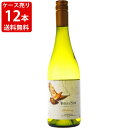 送料無料 ケース売り デルスール シャルドネ 白 750ml×12本 (北海道沖縄+890円)