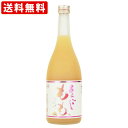 送料無料(RCP) 梅乃宿 あらごしもも酒 8度 720ml (北海道・沖縄+890円)