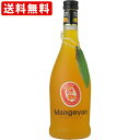 送料無料（RCP）　マンゴヤン　700ml(正規輸入品)　（北海道・沖縄＋890円）