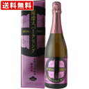 送料無料(RCP) 「梅酒シャンパン」 薩摩スパークリング 炭酸にごり梅酒 梅太夫 750ml (北海道・沖縄+890円)