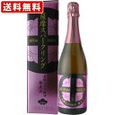 送料無料（RCP）　「梅酒シャンパン」　薩摩スパークリング　炭酸にごり梅酒　梅太夫　750ml　（北海道・沖縄＋890円）