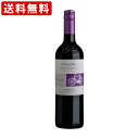 送料無料（RCP）　（コスパ抜群）　コノスル　メルロー　ビシクレタ・レゼルバ（ヴァラエタル）　赤　750ml　（北海道・沖縄＋890円）（取寄7～10日かかる場合がございます）