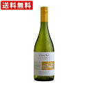 送料無料(RCP) コノスル シャルドネ ビシクレタ・レゼルバ(ヴァラエタル) 白 750ml (北海道・沖縄+890円)(取寄7〜10日かかる場合がござい...