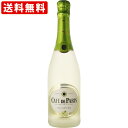 送料無料(RCP) カフェ・ド・パリ グリーンアップル 6% 750ml(やや甘口) (北海道・沖縄+890円)