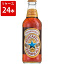 ケース販売　海外ビール 輸入ビール ニューキャッスル　ブラウンエール　330ml　瓶（1ケース/24本）