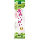 宝 梅酒イッパイ パック 2L