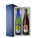 【ギフト箱付】本坊 星舎蔵 梅酒2本セット 720ml×2本 送料無料