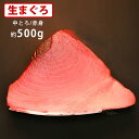 送料無料 マグロ専門卸会社直送 冷蔵・本まぐろ(中とろ/赤身)約500g 血合・皮付きブロック 生マグロ